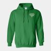 Unisex Heavy Blend™ Hooded Sweatshirt Thumbnail